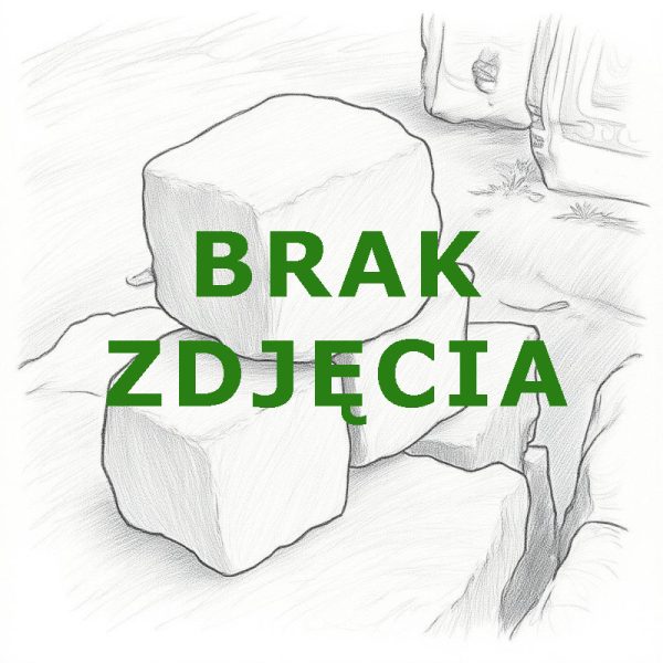 Oczekiwanie na obrazek produktu