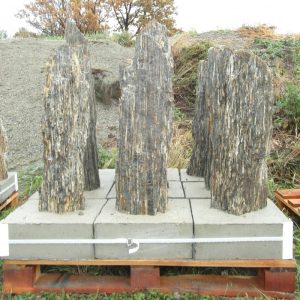 Szpilki gnejsowe