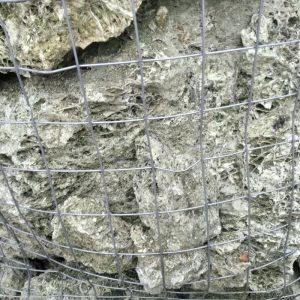 Bryłki Spaghetii Zielone
